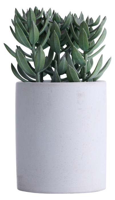 Kunstig tetragona H19 cm